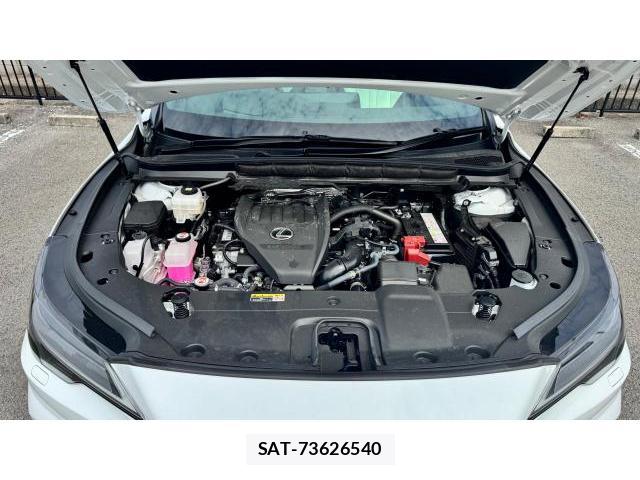 Lexus RX 2025 8434538-8