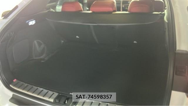 Lexus RX 2020-08 8434644-17