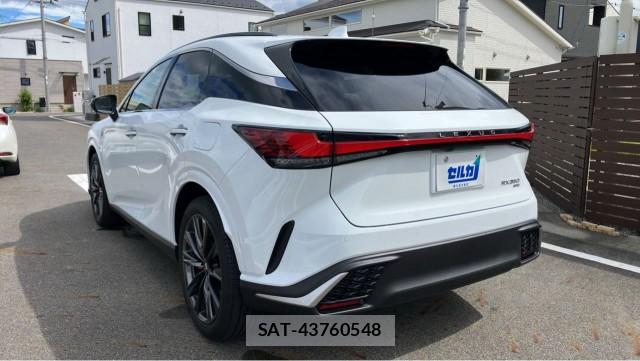 Lexus RX 2025-08 8434675-13