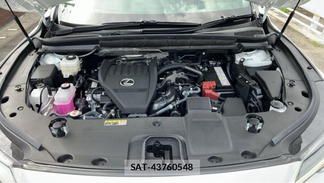 Lexus RX 2025-08 8434675-7