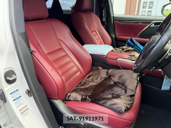 Lexus RX 2017-07 8434696-5