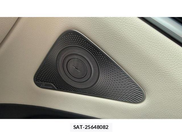 Mercedes Benz S-CLASS 2022 8434420-10