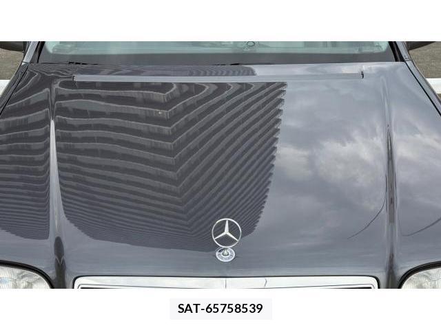 Mercedes Benz S-CLASS 1995 8434544-13