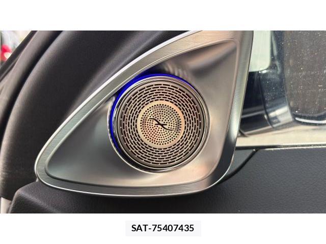 Mercedes Benz S-CLASS 2025-10 8434613-17