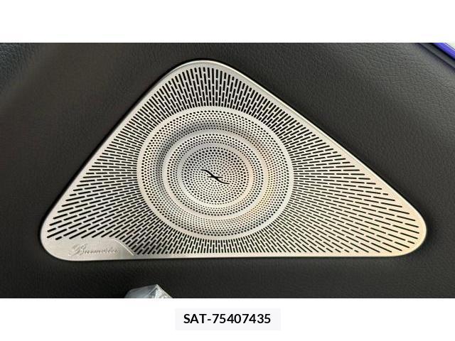 Mercedes Benz S-CLASS 2025-10 8434613-18