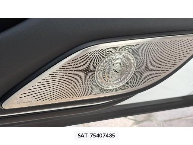 Mercedes Benz S-CLASS 2025-10 8434613-19