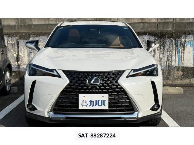 Lexus UX 2025 8434569-1