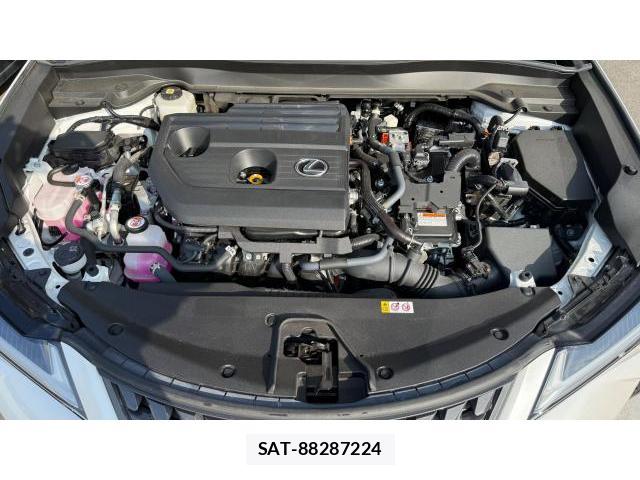 Lexus UX 2025 8434569-10