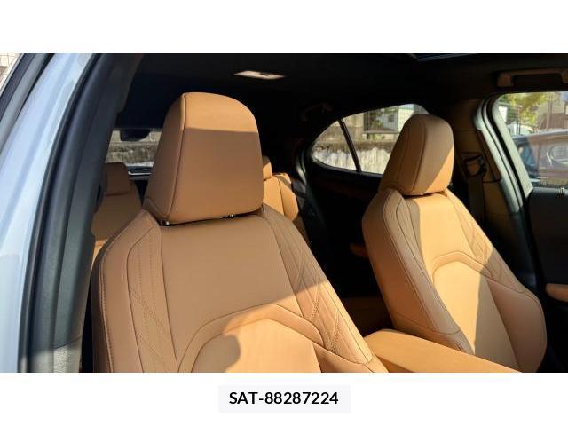Lexus UX 2025 8434569-5