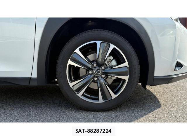 Lexus UX 2025 8434569-7
