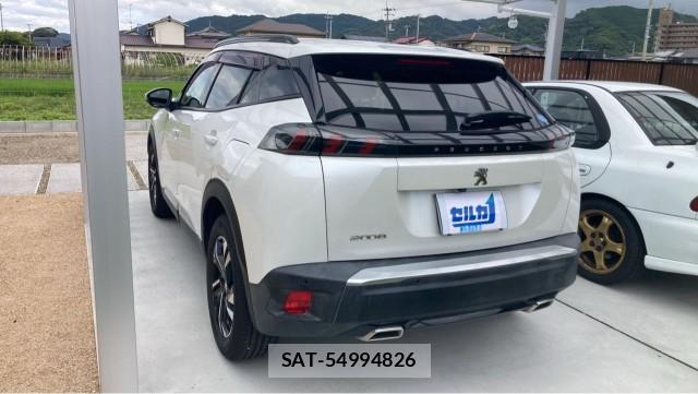 Peugeot 2008 2021-03 8550230-13
