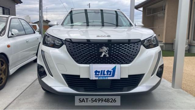 Peugeot 2008 2021-03 8550230-9