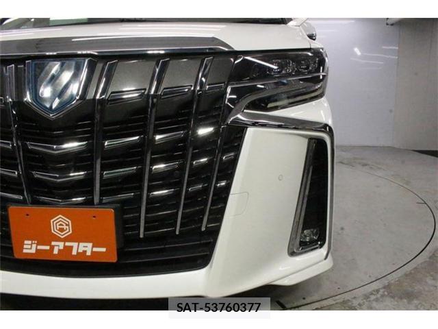 Toyota ALPHARD HYBRID 2019-07 8551855-13
