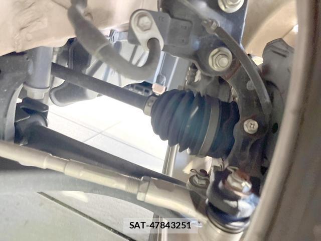Suzuki LAPIN 2021-04 8550589-19