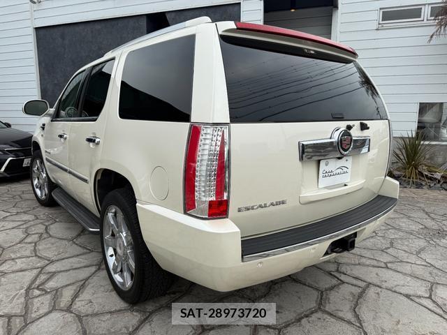 Cadillac ESCALADE 2013-04 8545908-18