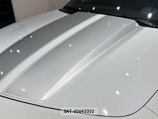 Chevrolet CAMARO 2010-09 8552742-16