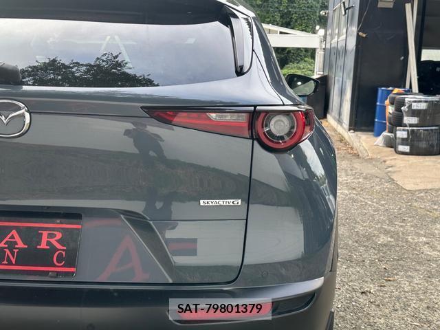 Mazda CX-30 2019-10 8550137-13