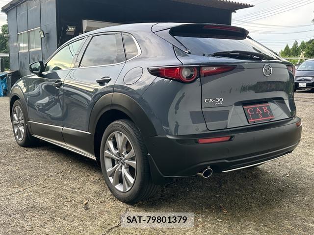 Mazda CX-30 2019-10 8550137-17