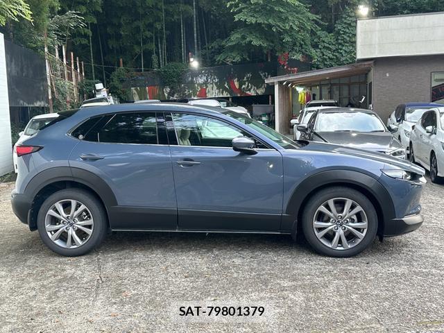 Mazda CX-30 2019-10 8550137-4