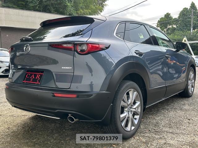 Mazda CX-30 2019-10 8550137-5