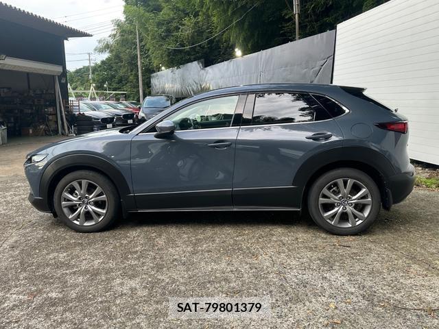 Mazda CX-30 2019-10 8550137-7