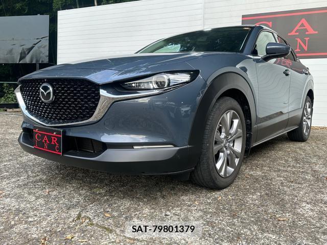 Mazda CX-30 2019-10 8550137-9