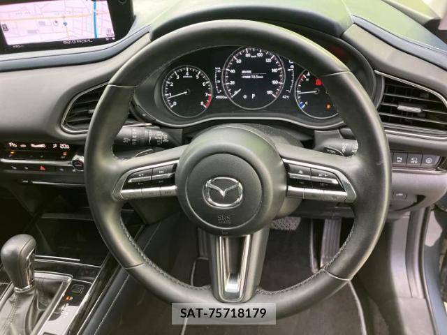 Mazda CX-30 2020-12 8550567-15