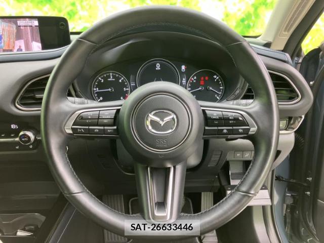 Mazda CX-30 2023-10 8552474-14