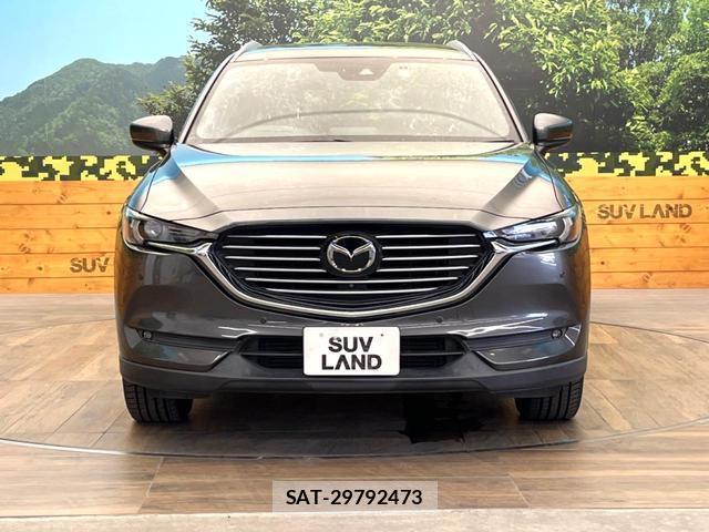 Mazda CX-8 2018-09 8548433-13