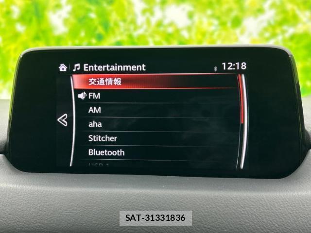 Mazda CX-8 2018-03 8549563-10