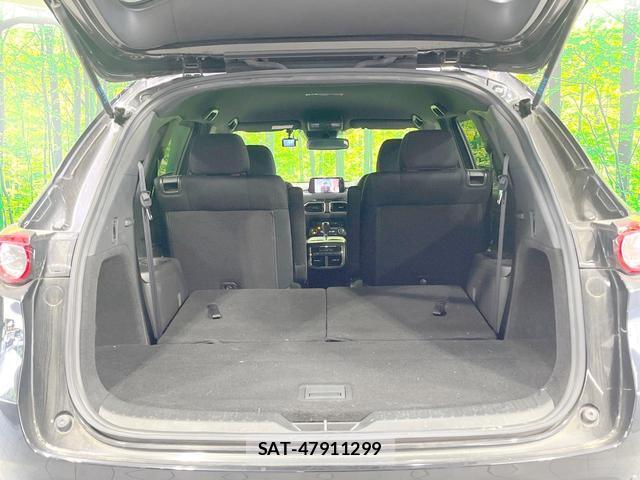 Mazda CX-8 2018-05 8550582-10