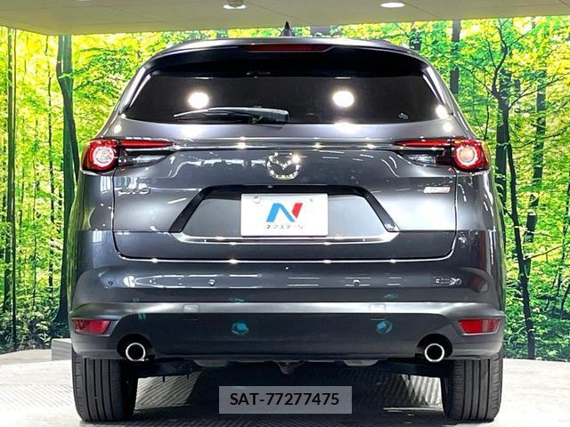 Mazda CX-8 2018-04 8551904-16