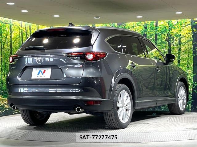 Mazda CX-8 2018-04 8551904-18