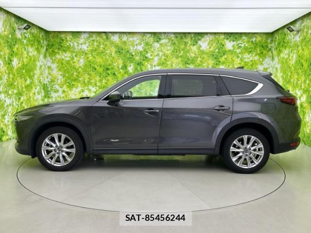 Mazda CX-8 2018-03 8552396-1
