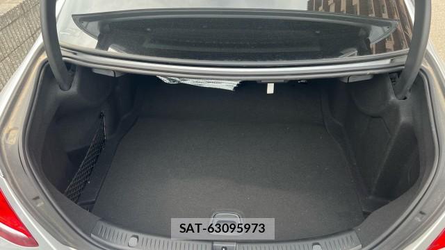 Mercedes Benz E-CLASS 2019-08 8550310-17