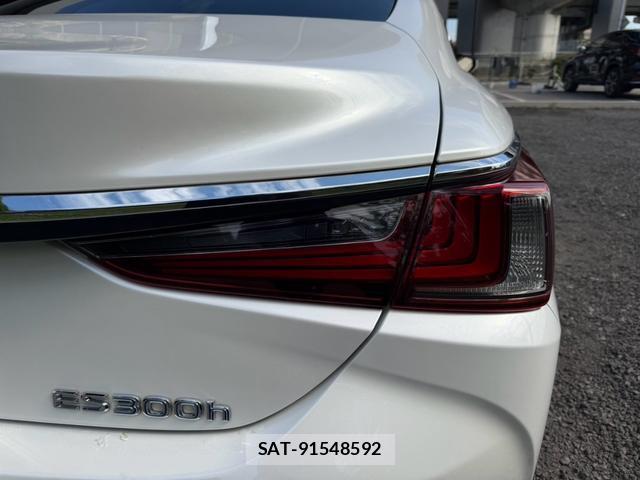 Lexus ES 2021-05 8551637-5