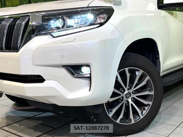 Toyota LAND CRUISER PRADO 2021-01 8546839-12