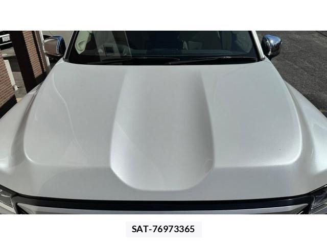 Toyota LAND CRUISER 2024 8548943-19
