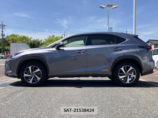 Lexus NX 2019-06 8547624-1