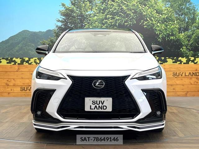 Lexus NX 2024-11 8548439-13
