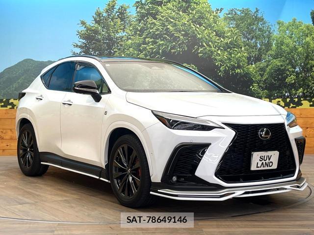 Lexus NX 2024-11 8548439-15