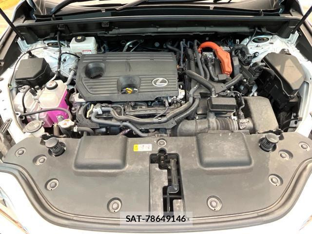 Lexus NX 2024-11 8548439-17