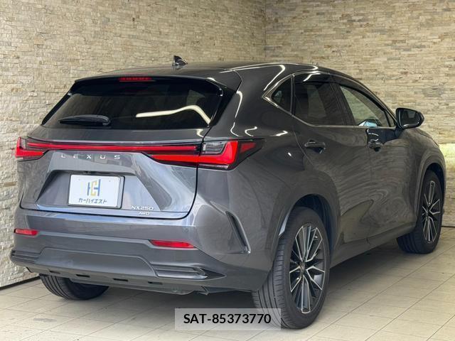 Lexus NX 2023-02 8548675-4