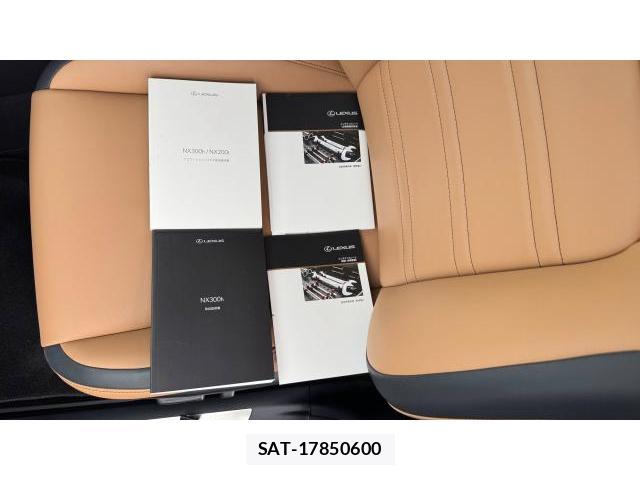 Lexus NX 2015 8548804-12