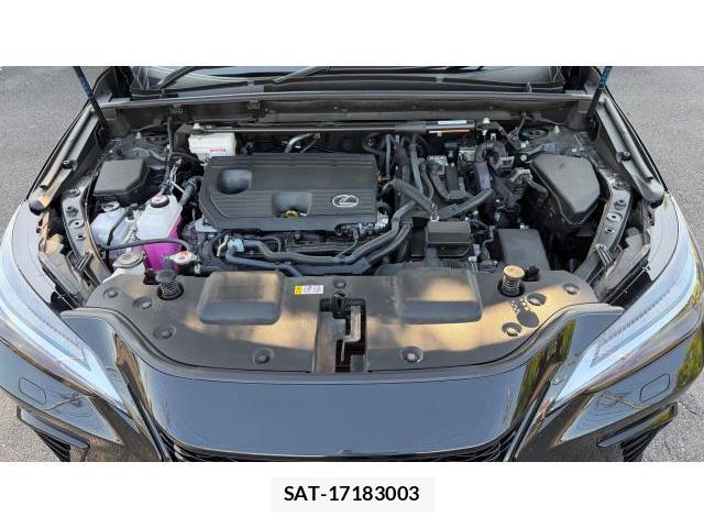 Lexus NX 2025 8548812-12