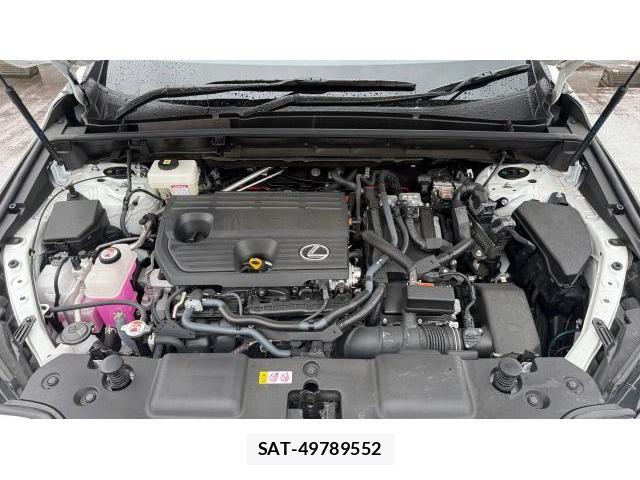Lexus NX 2023-12 8548897-10