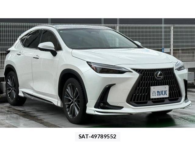 Lexus NX 2023-12 8548897-15