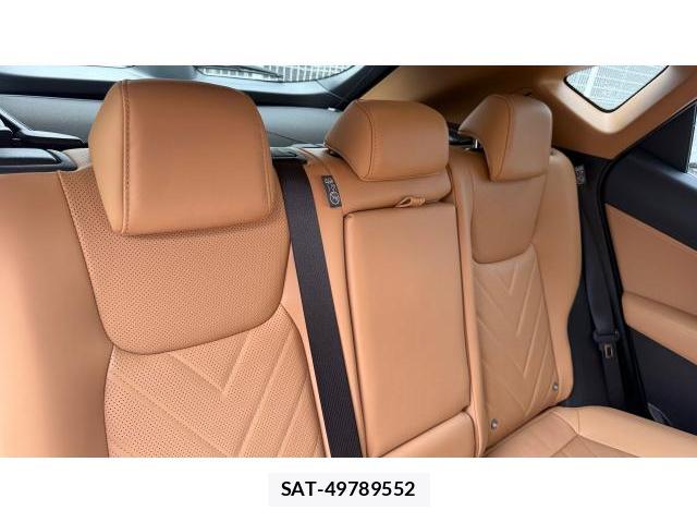 Lexus NX 2023-12 8548897-6