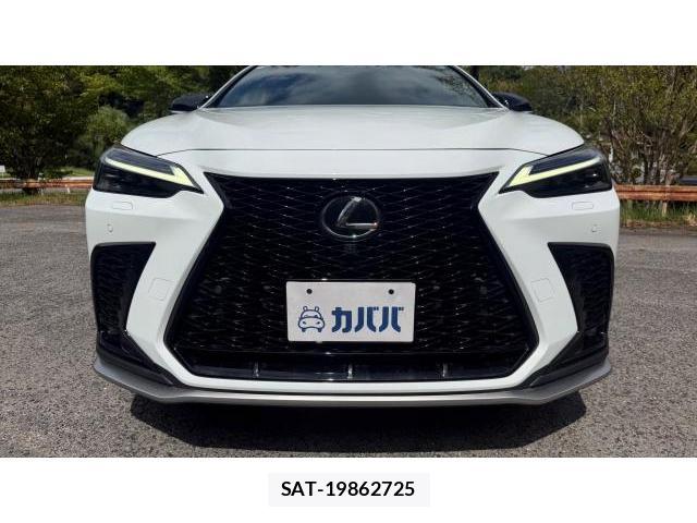Lexus NX 2024-10 8548926-19