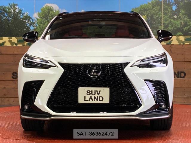 Lexus NX 2025-02 8549154-12